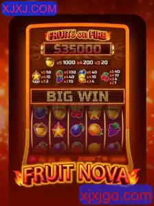 Descubra o Fascinante Mundo de FruitNova: Regras e Dicas para Jogar